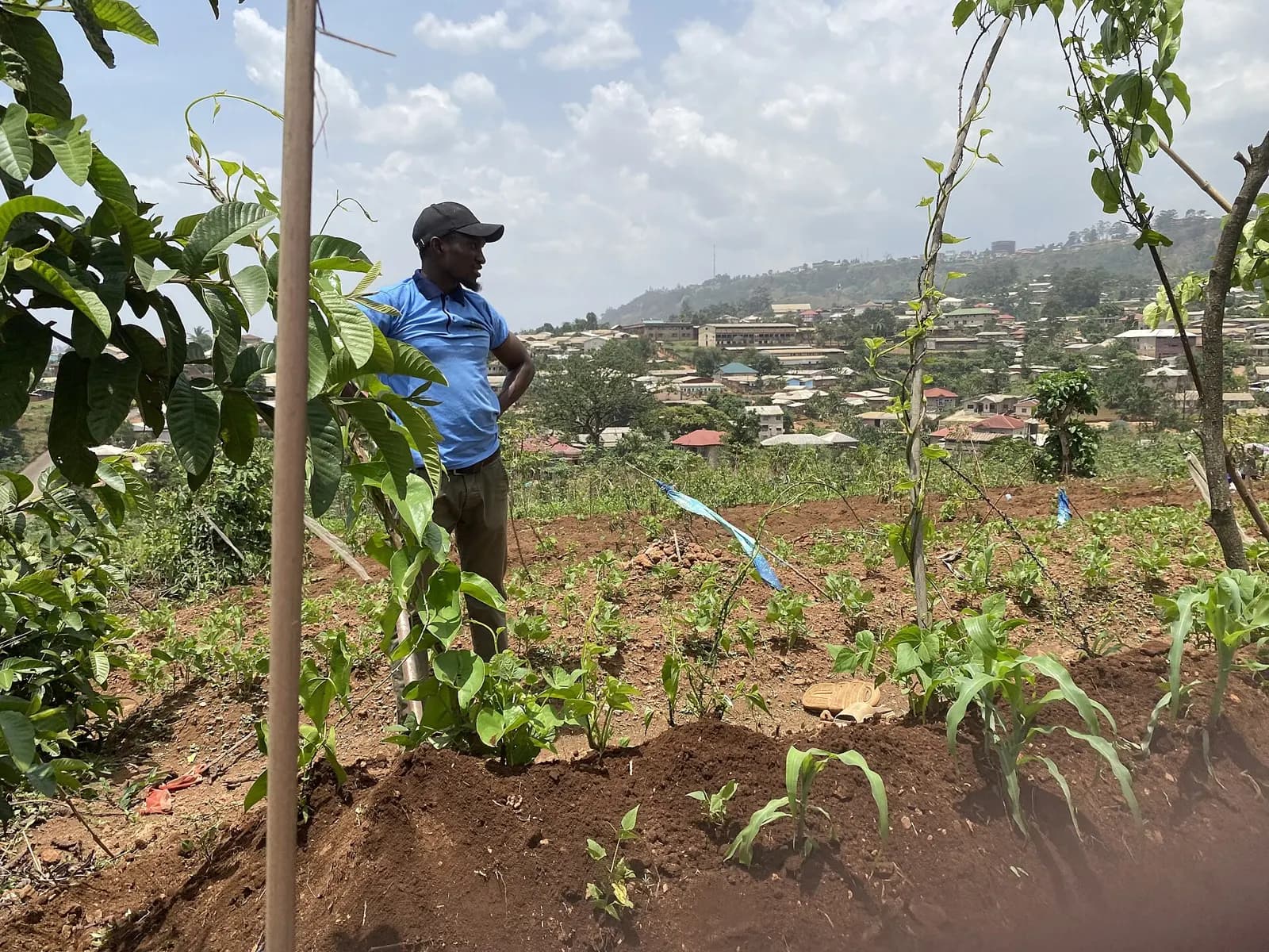 Un agriculteur dans son champ en pente